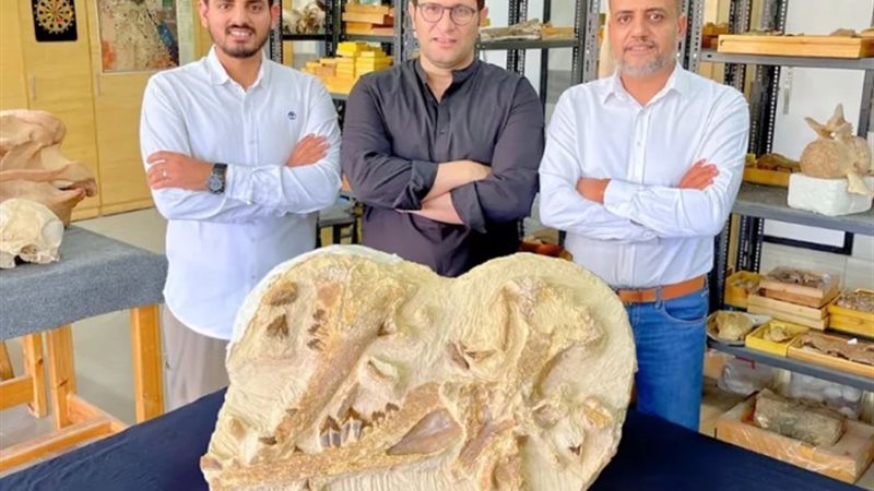 فريق البحث جامعة المنصورة