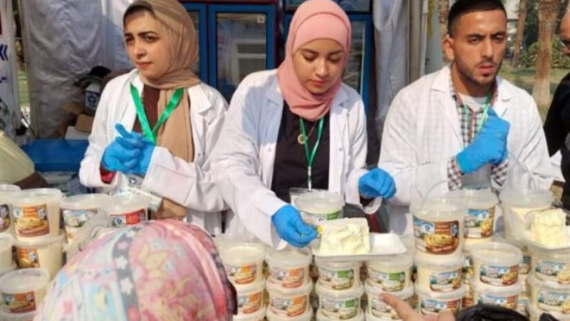 مهرجان الجبنة المصرية