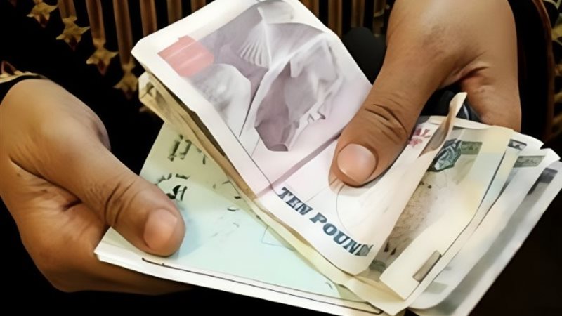 مساعدات نقدية