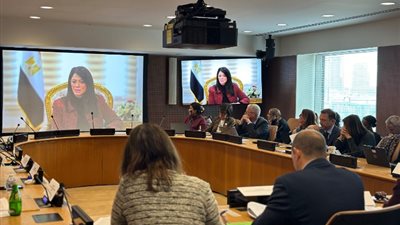 وزيرة التخطيط: 17% من أهداف التنمية المستدامة على المسار الصحيح عالميا
