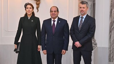 نرحب بالشركات الدنماركية في مصر، كلمة الرئيس السيسي بالمؤتمر الاقتصادي بكوبنهاجن