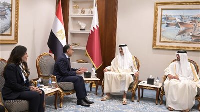 أمير قطر : مصر تلعب دورا رياديا عالميا وإقليميا
