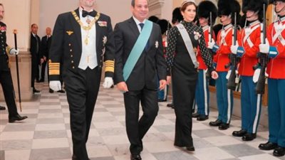 الرئاسة تستعرض إنجازات زيارة الرئيس السيسي إلى الدنمارك (فيديو)