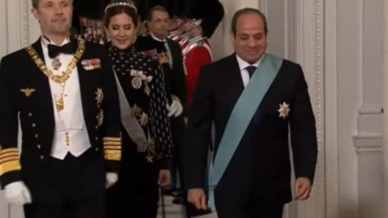 الرئيس السيسي وملك الدنمارك