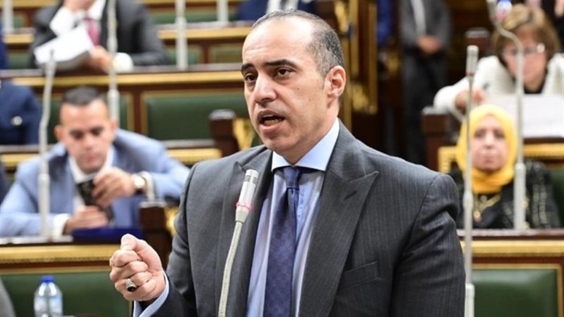 المستشار محمود فوزي