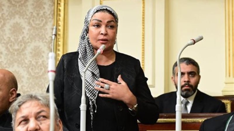 النائبة ألفت المزلاوي