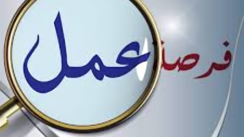 فرص عمل- ارشيفية