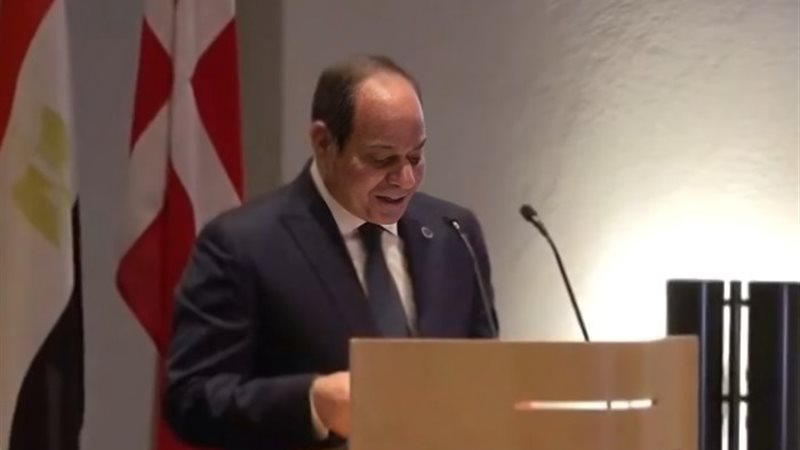 الرئيس عبد الفتاح السيسي