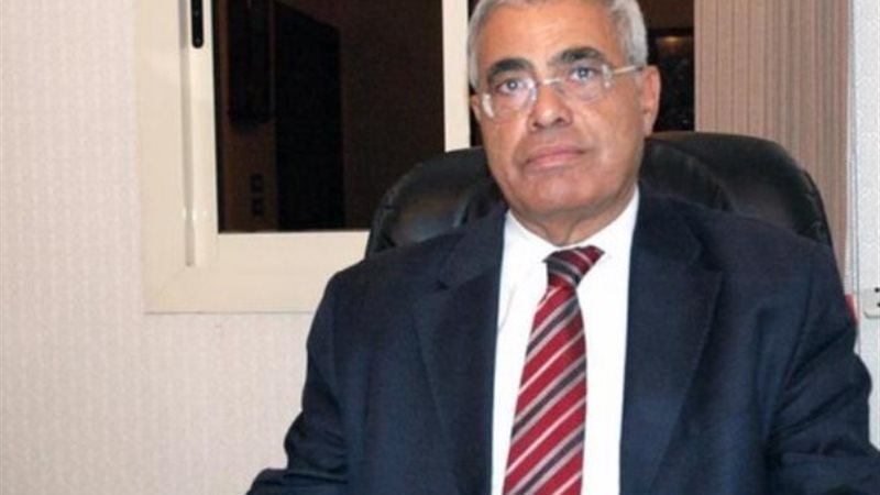 الدكتور حسن نافعة أستاذ العلوم السياسية بجامعة القاهرة