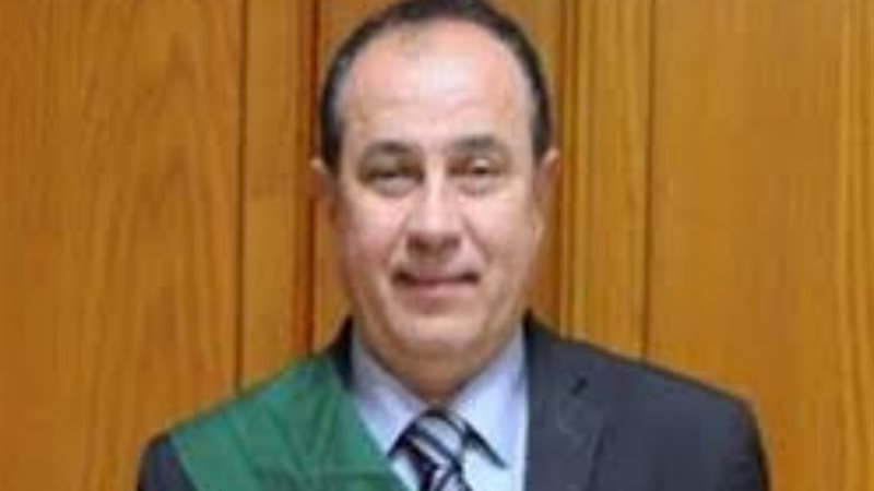 المستشار وجدي عبد المنعم