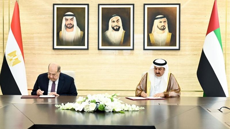 المستشار عبد الوهاب عبد الرازق، رئيس مجلس الشيوخ