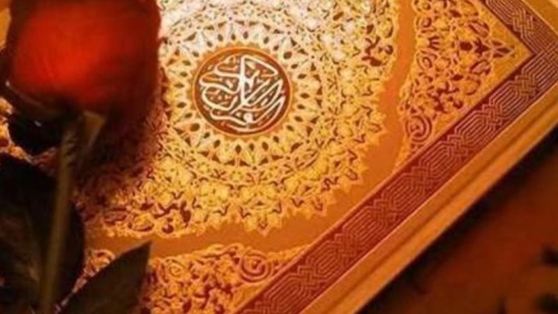 سور القرآن الكريم