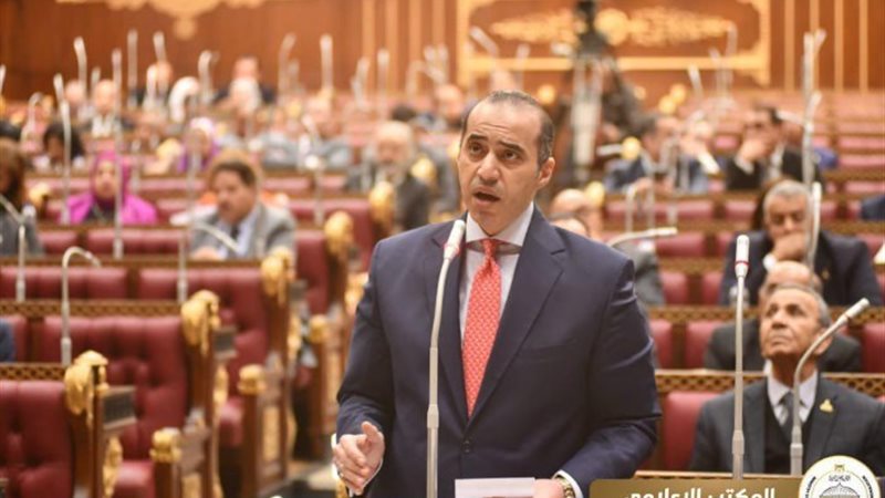 المستشار محمود فوزي، وزير الشئون النيابية والقانونية