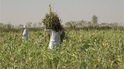 ماكينة ري تنهي حياة مزارع بسوهاج