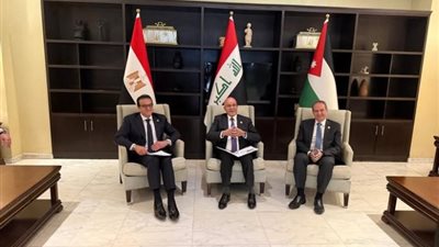 عبد الغفار يبحث مع وزراء صحة العراق والأردن رفع كفاءة طواقم الطب الوقائي