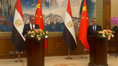 وزير الخارجية يؤكد لنظيره الصيني رفض مصر لانتهاكات إسرائيل في سوريا