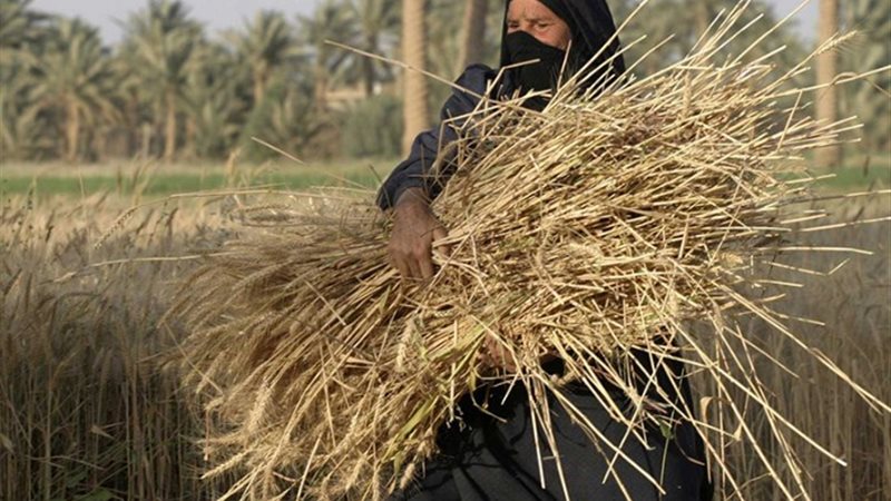 المرأة الزراعية