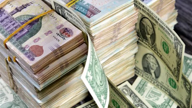 سعر الدولار مقابل الجنيه المصري اليوم الخميس