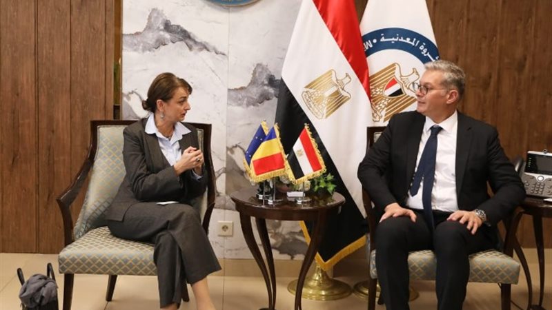 وزير البترول مع سفيرة رومانيا