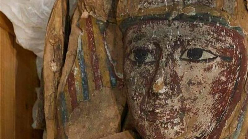 الآثار المستردة من من جامعة كورك بأيرلندا