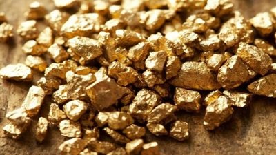 التكنولوجيا الحديثة تصل إلى الحمض النووي للذهب