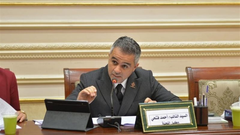 النائب أحمد فتحي