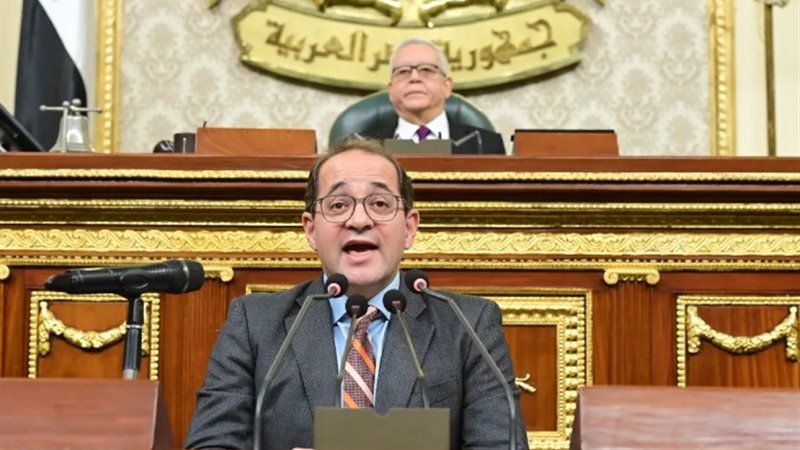 أحمد كجوك وزير المالية