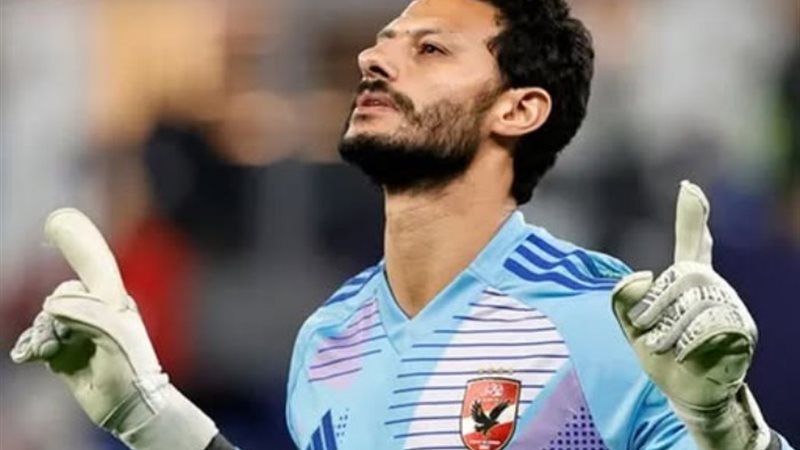 محمد الشناوي