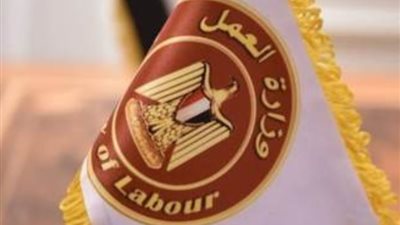 قدموا بسرعة، 7878 وظيفة جديدة تنتظر الباحثين عن العمل في 12 مُحافظة