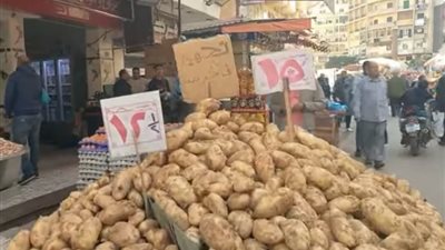 بين ارتفاع وانخفاض، أسعار الخضار والفاكهة في الإسكندرية اليوم الثلاثاء