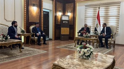 نائب رئيس وزراء باكستان يصل القاهرة لحضور قمة مجموعة الثماني النامية (D-8)