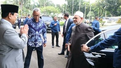 حصاد الأزهر 2024، ملوك ورؤساء وقضايا تؤرق العالم في حضرة الإمام الطيب