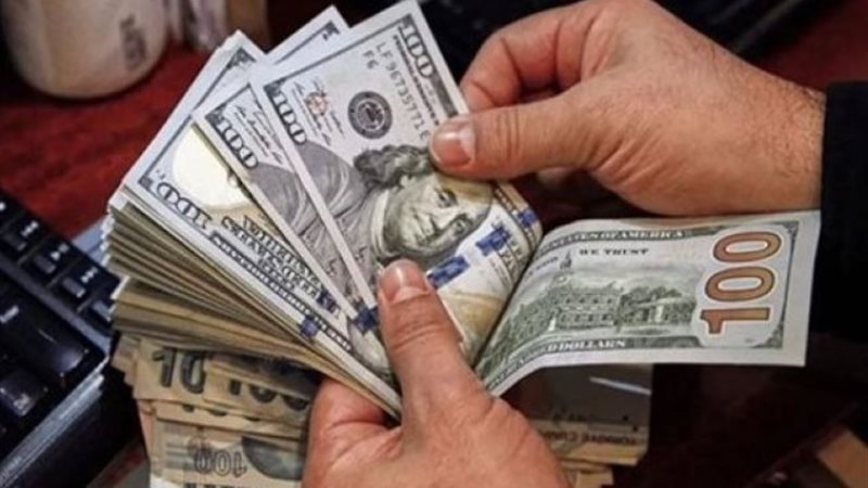 سعر الدولار