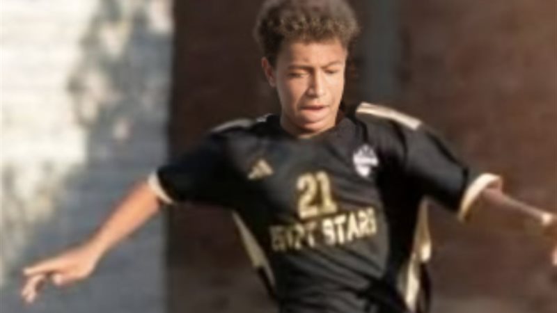 حسام حسن لاعب نجوم مصر