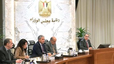 استثمارات إماراتية جديدة، الحكومة تسعى لطرح عدد من المطارات المصرية