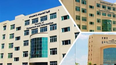 «خبير أكاديمي»: يوضح مزايا قرارات الرئيس السيسي لخريجي الحاسبات والمعلومات (خاص)