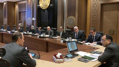 رئيس الوزراء يبحث مشروع توطين صناعة أجهزة السونار في مصر