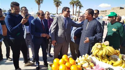 «سوق اليوم الواحد»، تجربة فريدة في الأقصر تجذب السائحين