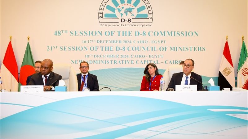 وزير الخارجية يترأس الاجتماع الوزاري لمنظمة الدول الثماني ا