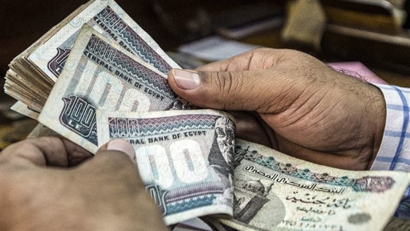 مشروع بـ 20 ألف وأرباح 5 آلاف شهريا