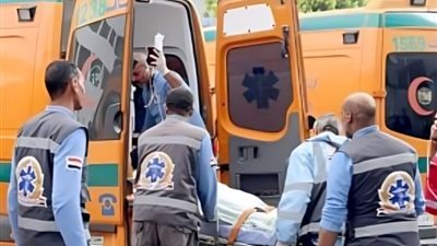 إحالة سائق ميكروباص دهس سيدة ونجلها في حدائق أكتوبر للمحاكمة