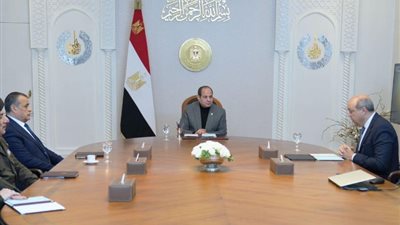 الرئيس السيسي يوجه باستمرار العمل على تطوير منظومة الطيران