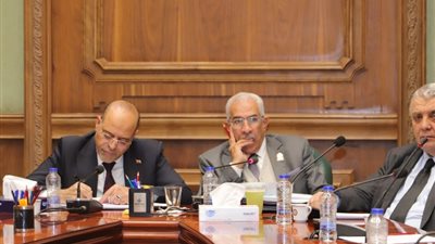 وزير العمل أمام مجلس الشيوخ: نكافح الهجرة غير الشرعية ونحمي العمال المصريين بالخارج