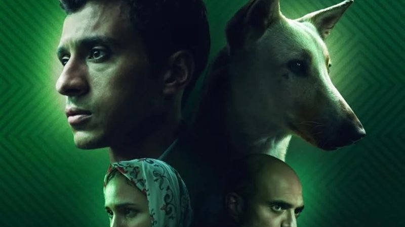 فيلم البحث عن منفذ لخروج السيد رامبو