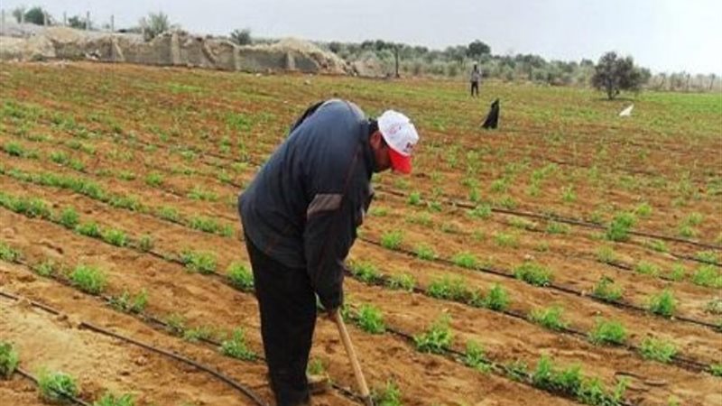 استصلاح الأراضي الزراعية