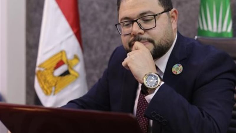 الدكتور أيمن الدهشان