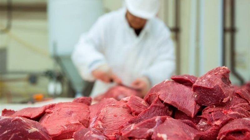 أسعار اللحوم اليوم الثلاثاء