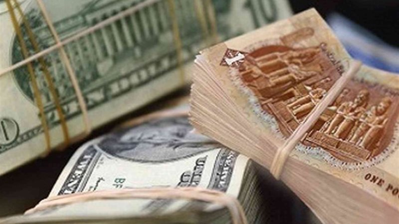 سعر الدولار مقابل الجنيه المصري اليوم الثلاثاء