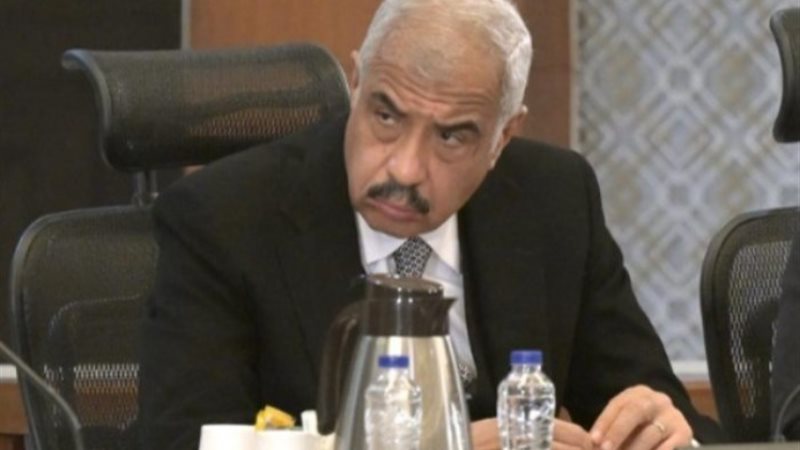 هشام طلعت مصطفى