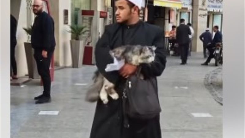 الشيخ محمود يحمل القطة المريضة